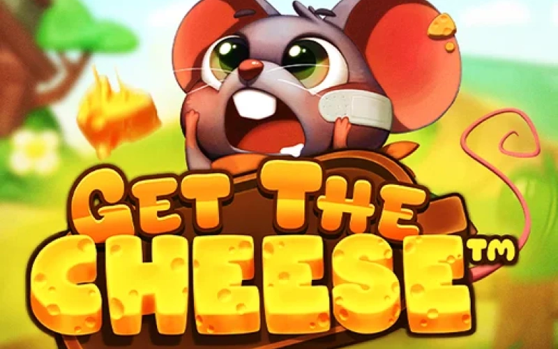 Obtenga grandes ganancias jugando a la divertida tragamonedas Get The Cheese en AdmiralBet.